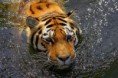 /album/fotogaleria/images-7-jpg/